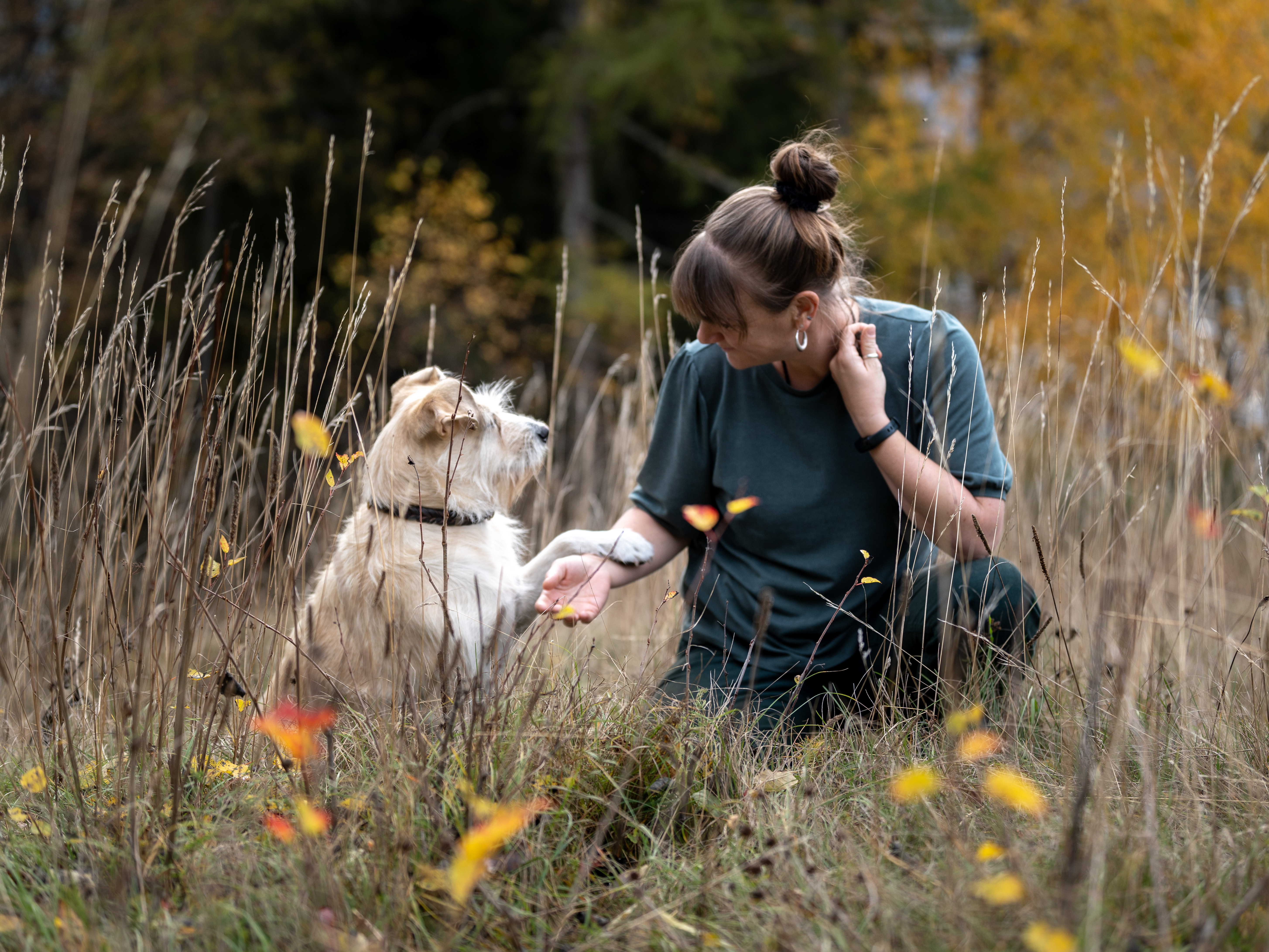 Vision & Philosophie