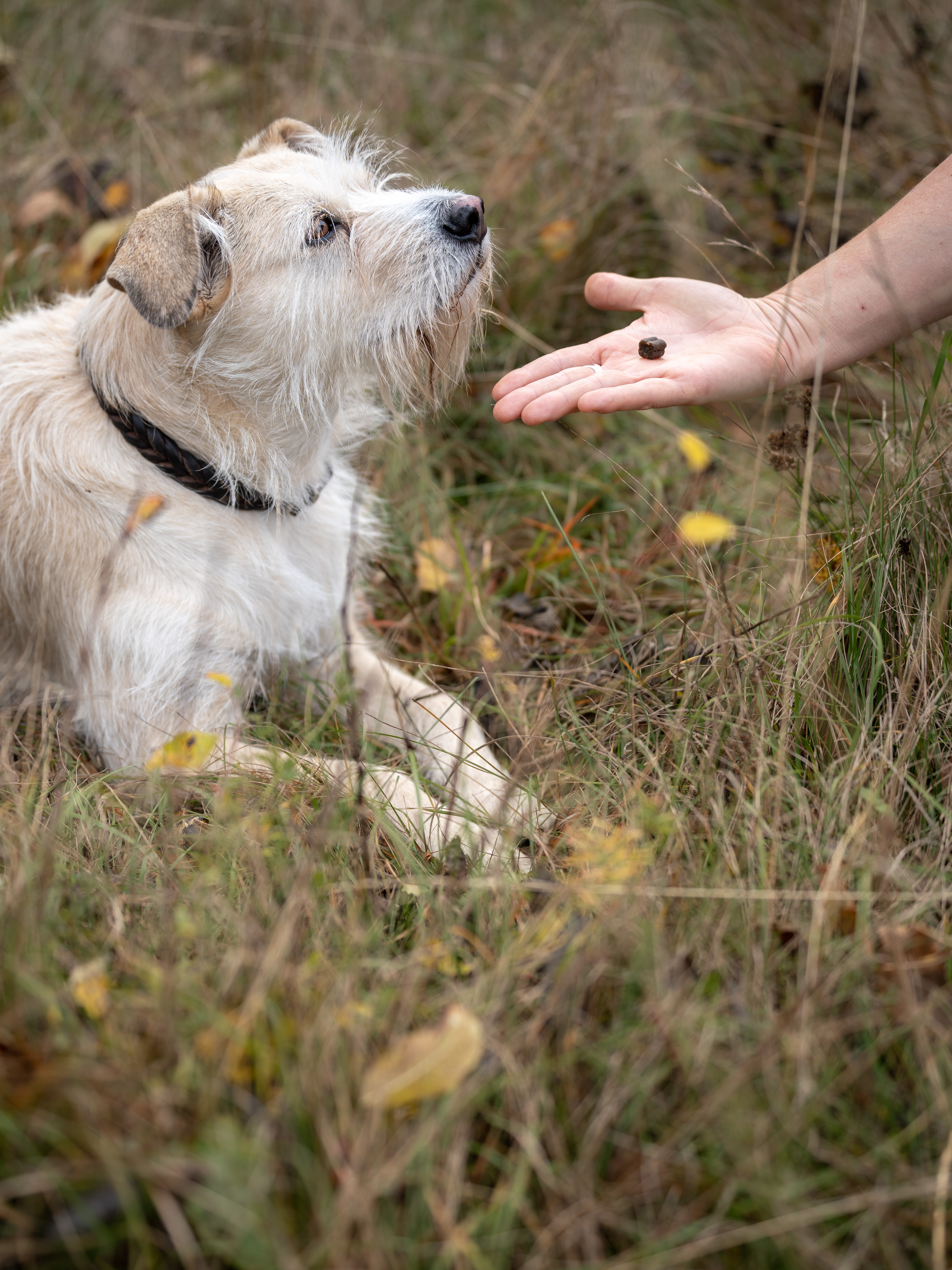Unsere therapeutischen Ziele