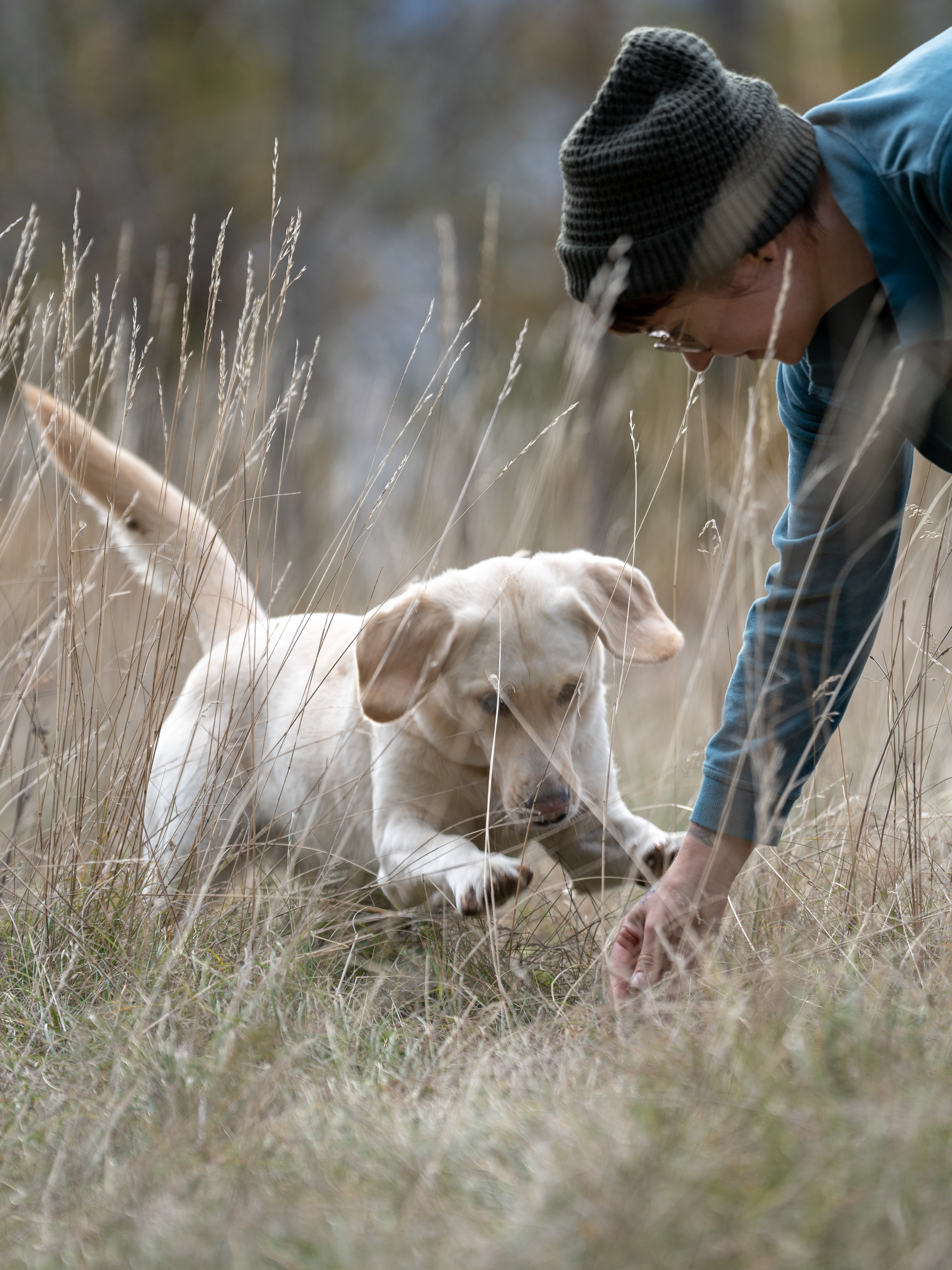 Bewegungspfade in den Bergen